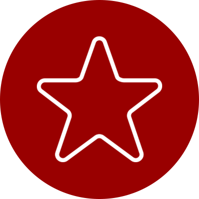Gütesiegel Icon